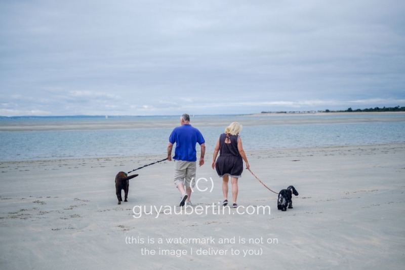 Wandering through West Sussex